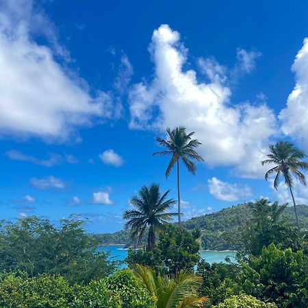 Happy Nest Dominica Hotel Marigot Exterior foto