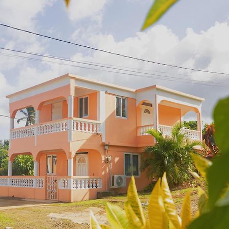 Happy Nest Dominica Hotel Marigot Exterior foto