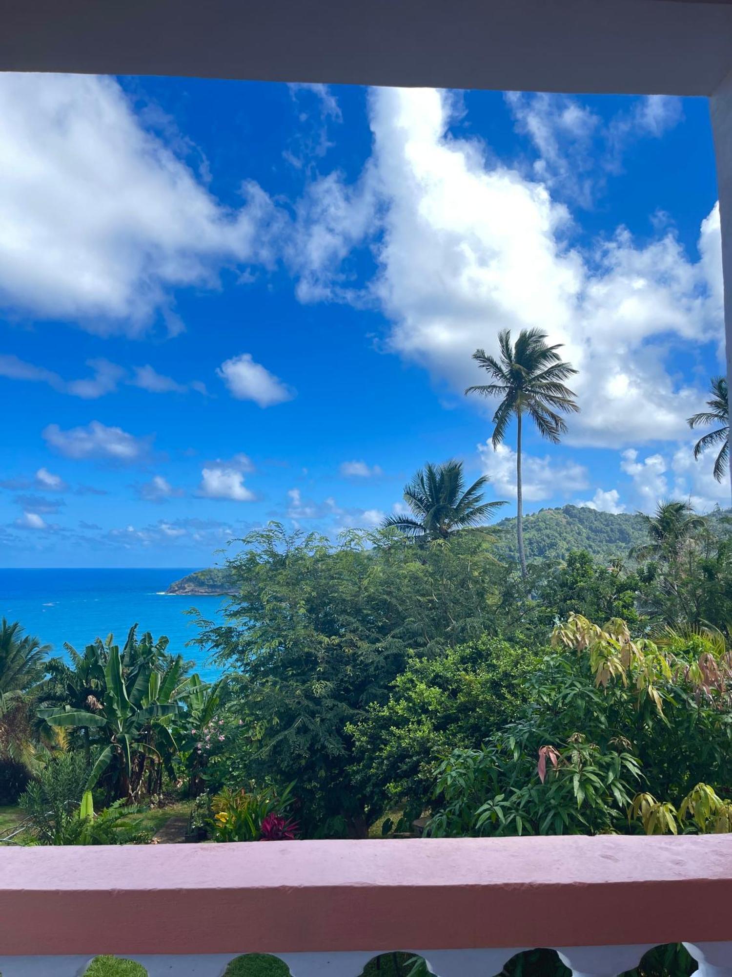 Happy Nest Dominica Hotel Marigot Exterior foto